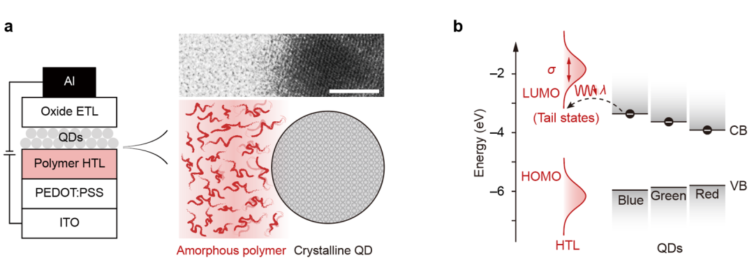 浙江大學、華南理工大學合作團隊在量子點發光二極管研究方面取得進展