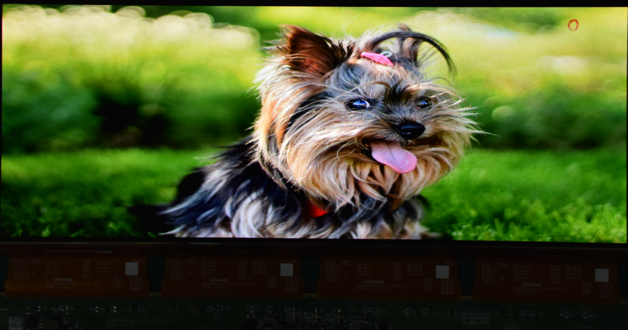 國屏突破！維信諾全球首發中尺寸20-640Hz+寬頻LTPS技術