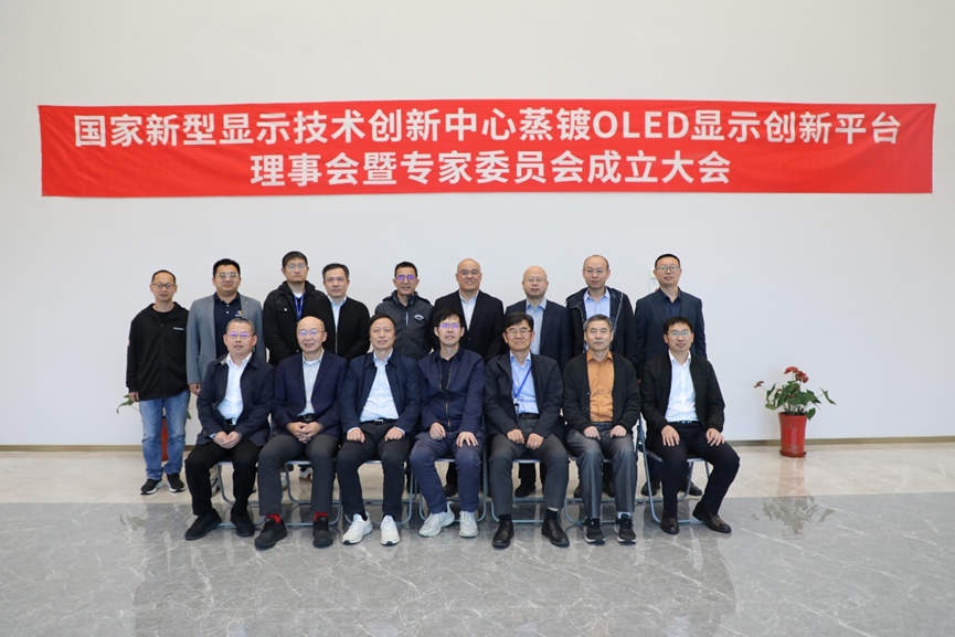 國家新型顯示技術創新中心蒸鍍OLED顯示創新平臺理事會暨專家委員會成立