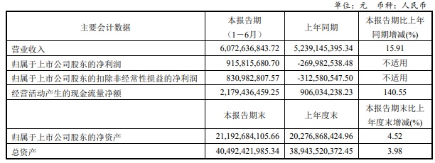 彩虹股份上半年凈利潤9.16億元，同比扭虧為盈