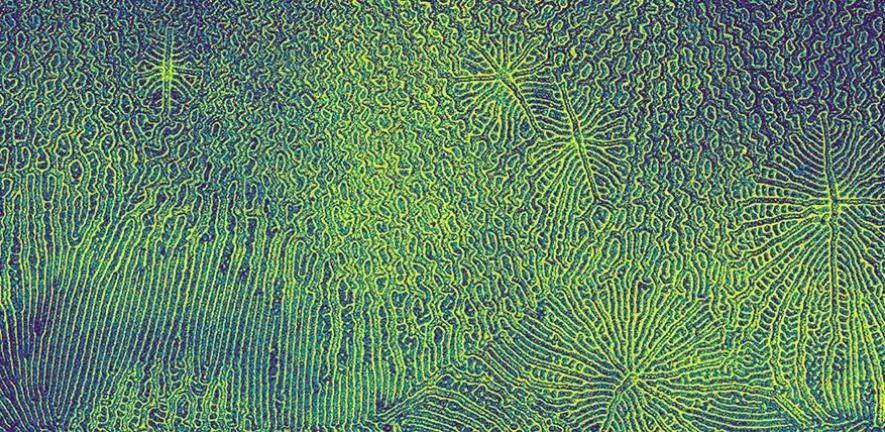 ���԰댧�w�о��ɹ��l�������������OLED�@ʾ������