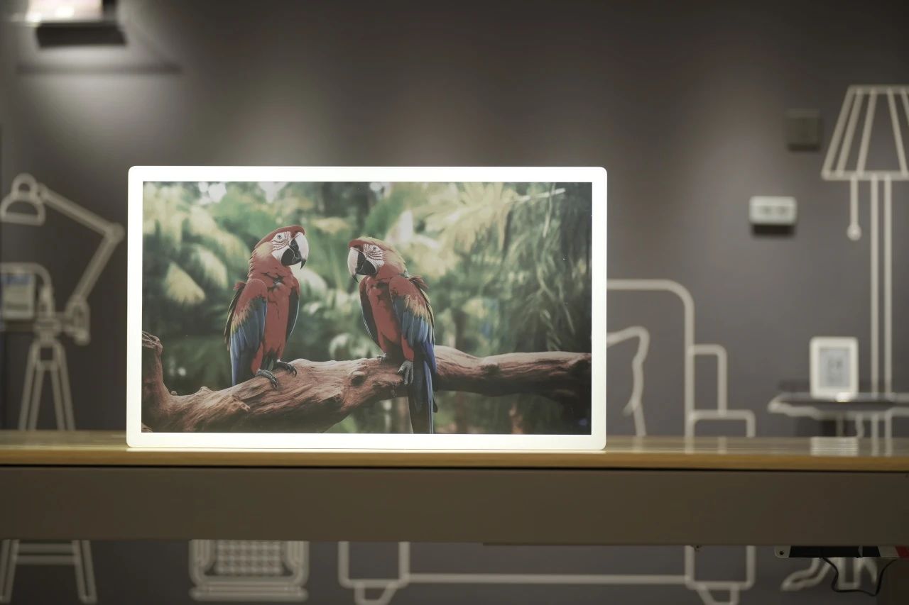 奧翼發布全球首款30寸以上視頻電子紙顯示屏