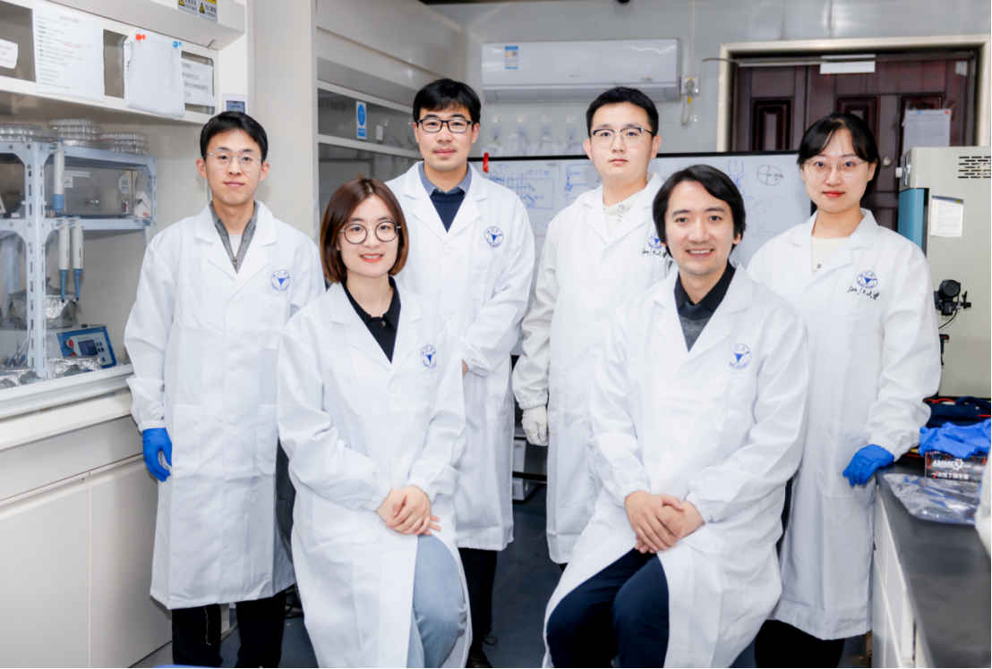 已知最小！浙大團隊研發(fā)出90nm像素尺寸鈣鈦礦LED