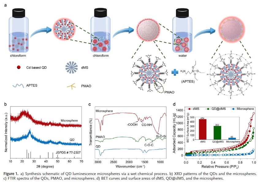 廈門大學團隊研究突破：量子點發光微球實現超高效和明亮的Micro-LEDs