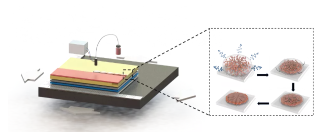 重大突破！南方科技大學孫小衛教授團隊通過噴墨打印制備出業界壽命最長的量子點發光二極管