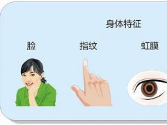 大學(xué)研究人員以液晶液滴實(shí)現(xiàn)PUF安全性