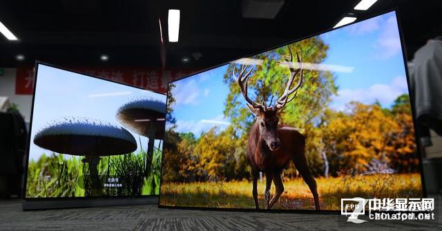 索尼斬殺LG？兩款高端OLED電視對比評測