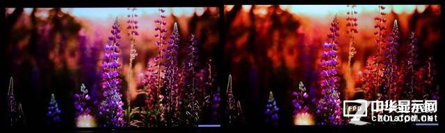 索尼斬殺LG？兩款高端OLED電視對比評測