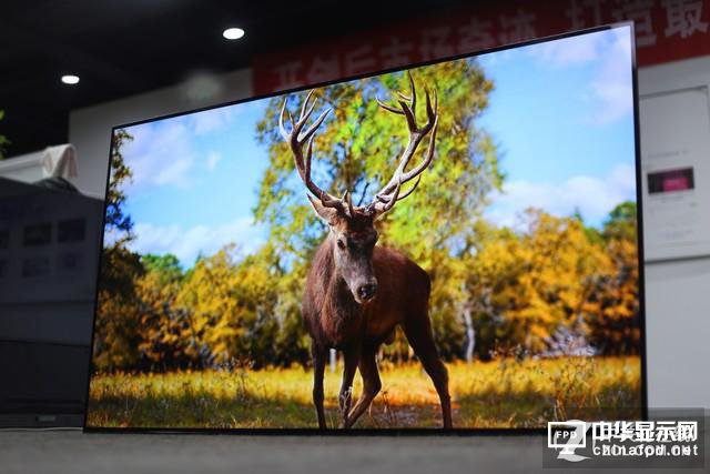 索尼斬殺LG？兩款高端OLED電視對比評測