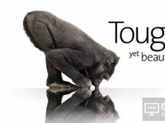 康寧玻璃發布一季度財報：顯示業務同比增4%