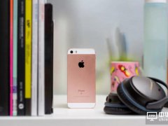 緯創代工，蘋果正式開始在印度組裝iPhone SE