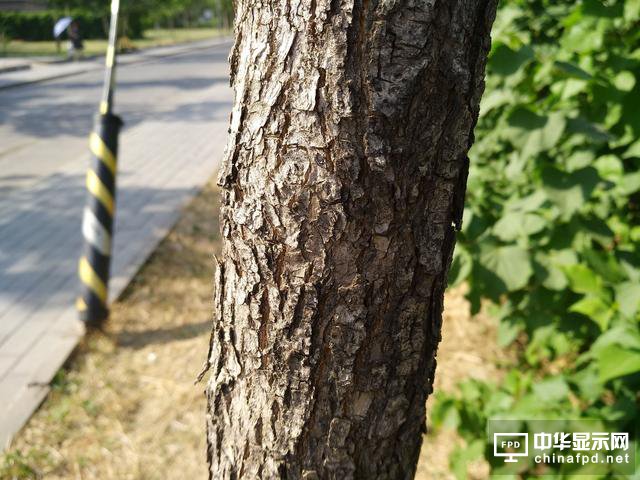 小米Max 2評測：才不是只有大屏大電池！