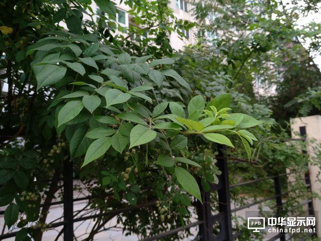 小米Max 2評測：才不是只有大屏大電池！