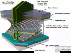 OLED發光偏振化：提高OLED光效率的新途徑