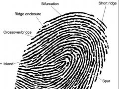 【屏下指紋識別】技術分類、封裝及工藝流程匯總