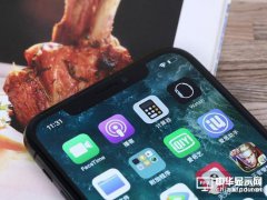 廉價iPhoneX消息曝光：蘋果看好日本LCD屏