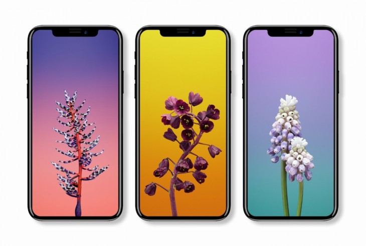 全面屏的這些形態(tài)你最喜歡哪個？