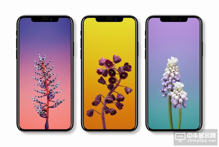 全面屏的這些形態(tài)你最喜歡哪個(gè)？