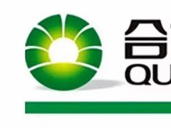 斥資65億 合力泰擬建年產60萬張準6代a-Si TFT LCD面板項目